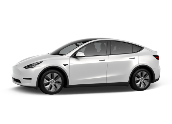 �׽��� Model Y